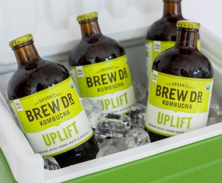 uplift kombucha brew